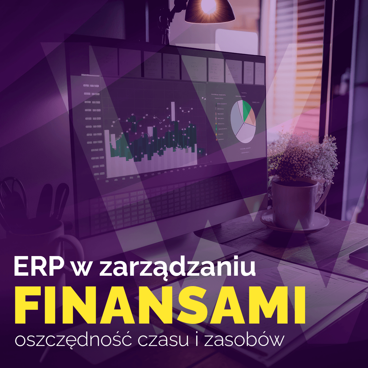 ERP w zarządzaniu finansami – oszczędność czasu i zasobów