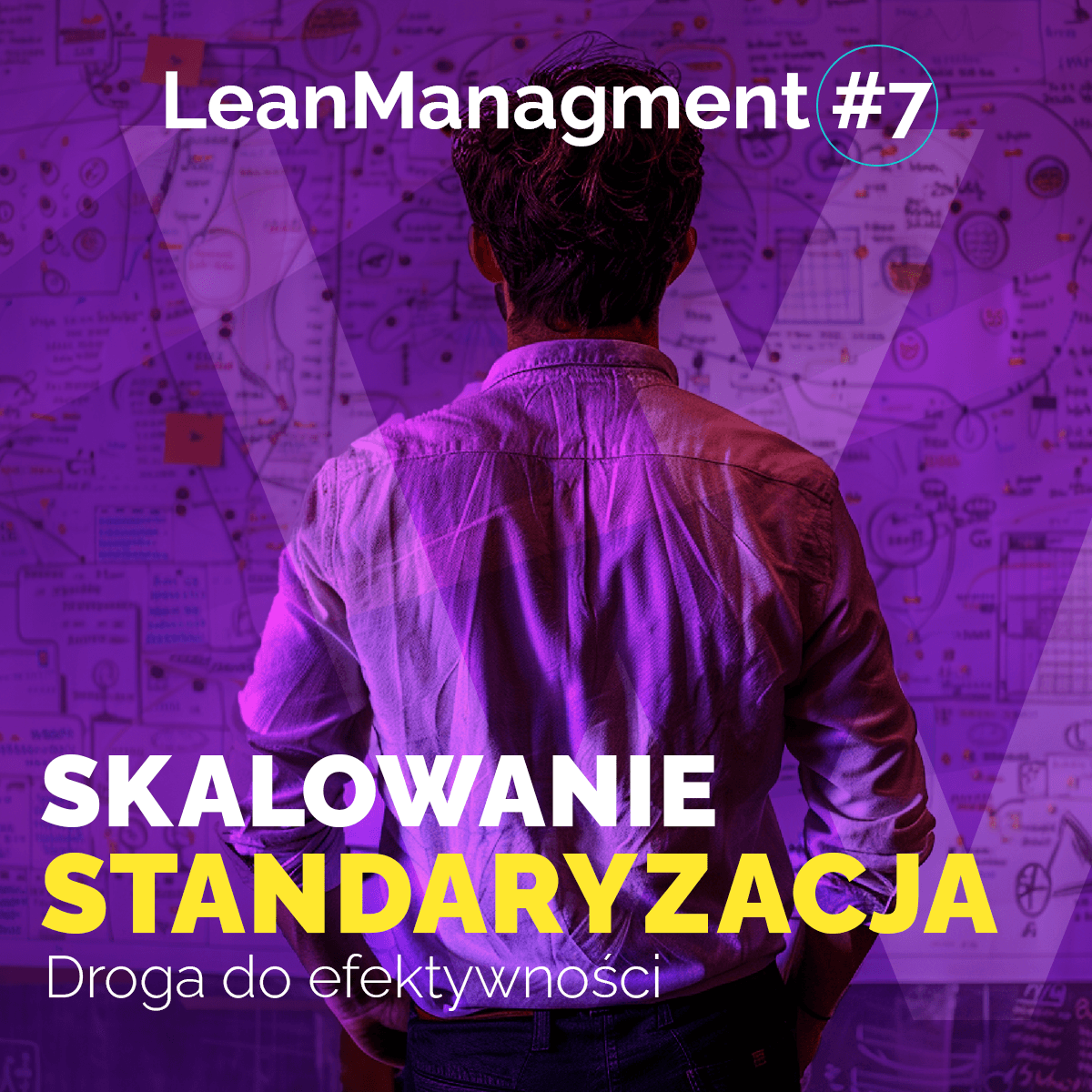 Skalowanie i standaryzacja – droga do efektywności